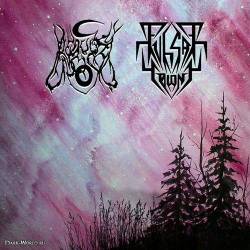 Aequus Nox : Aequus Nox - Pulsar Colony